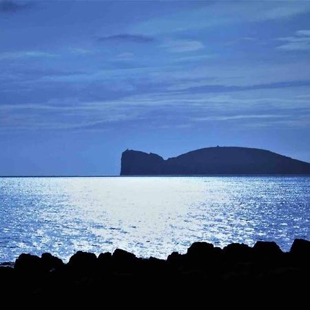 Alghero Sun & Sea - Spiaggia A 50 Metri Eksteriør bilde