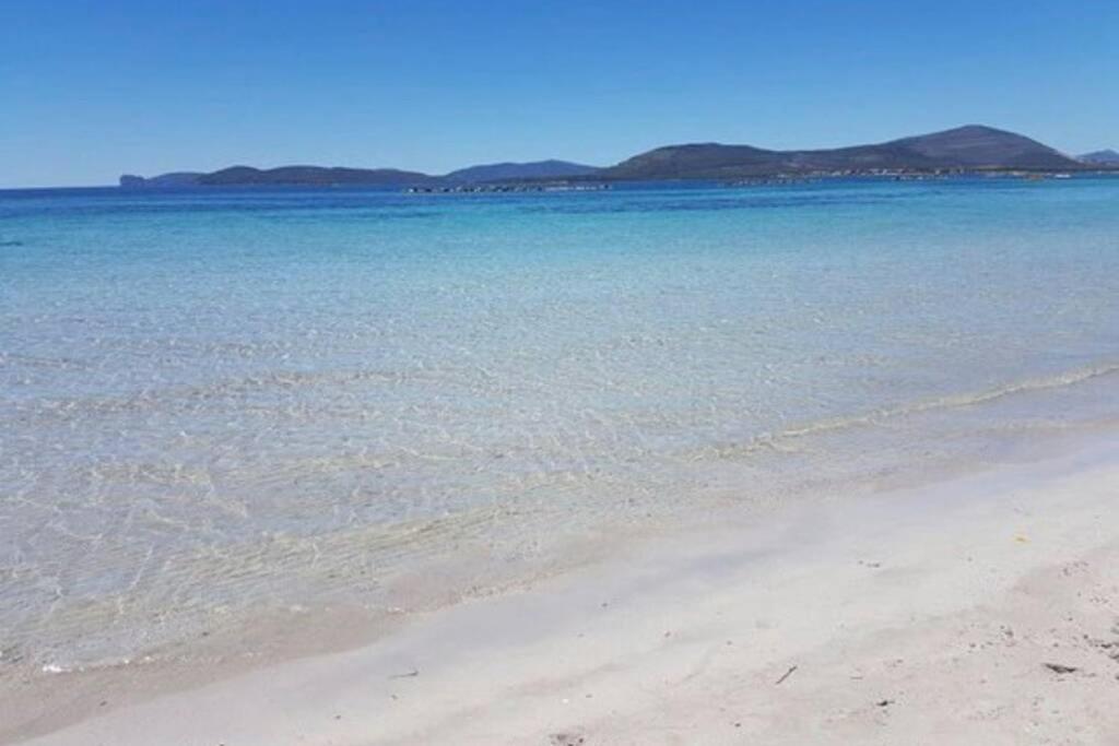 Alghero Sun & Sea - Spiaggia A 50 Metri Eksteriør bilde