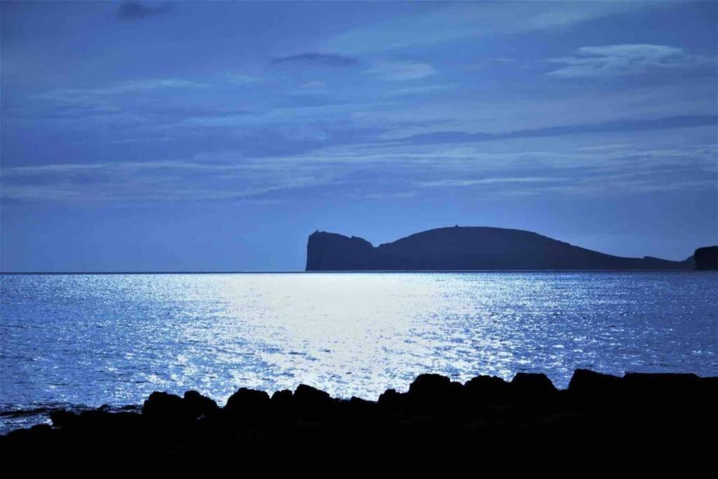 Alghero Sun & Sea - Spiaggia A 50 Metri Eksteriør bilde