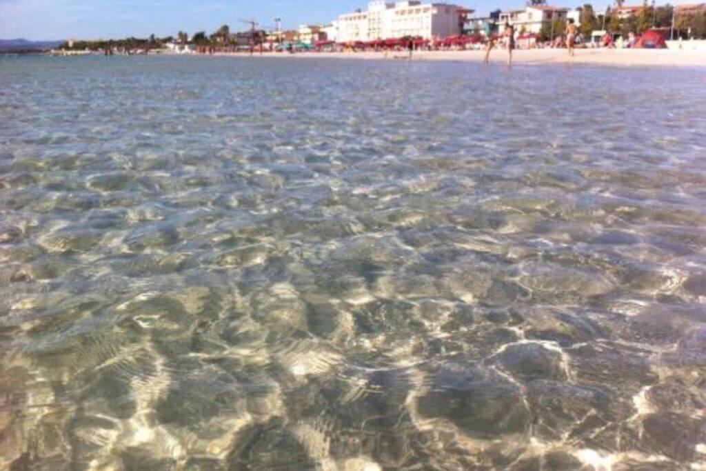 Alghero Sun & Sea - Spiaggia A 50 Metri Eksteriør bilde
